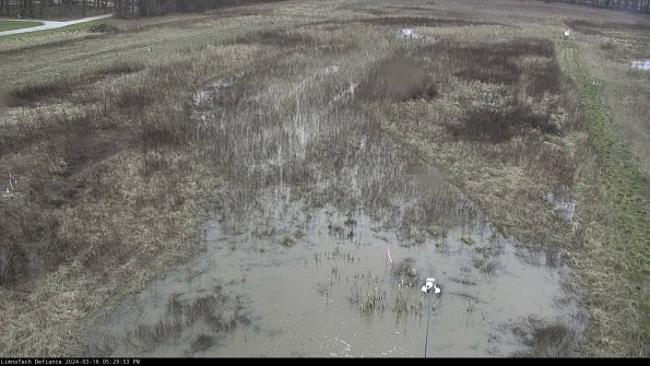 Cell 1_24-03-16_17-29-54-16