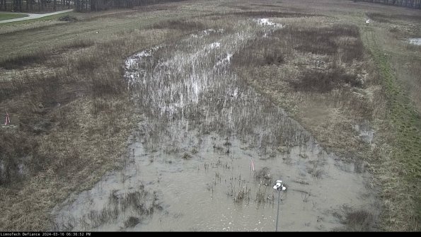 Cell 1_24-03-16_18-36-53-13