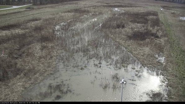 Cell 1_24-03-16_19-10-23-12