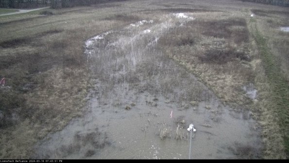 Cell 1_24-03-16_19-43-52-14