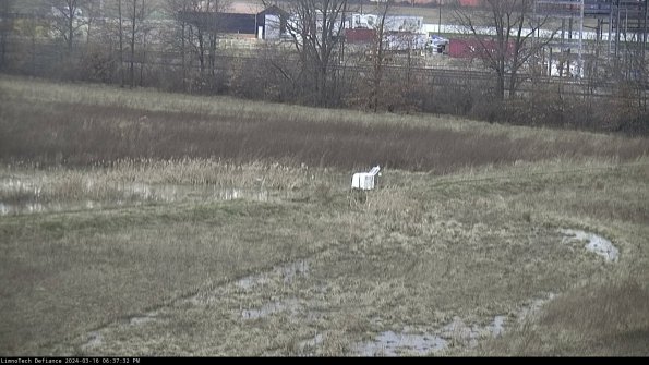 Cell 2 to 3_24-03-16_18-37-33-24