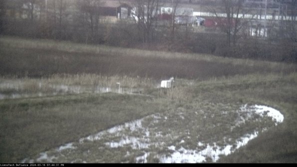 Cell 2 to 3_24-03-16_19-44-32-28