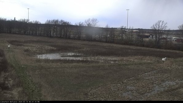 Cell 2_24-03-16_18-37-20-19