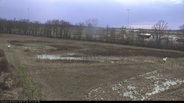 Cell 2_24-03-16_19-10-50-18