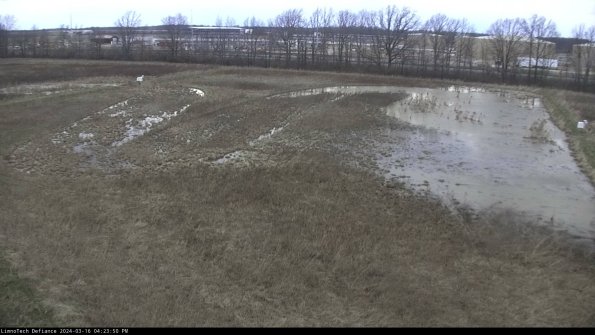 Cell 3_24-03-16_16-23-51-15