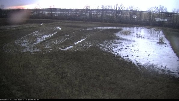 Cell 3_24-03-16_19-44-47-12