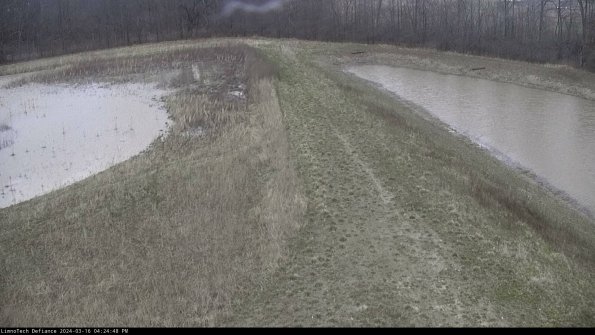 Cell 4 to Basin_24-03-16_16-24-49-17