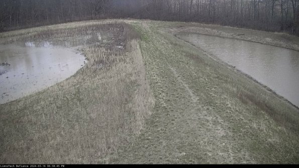 Cell 4 to Basin_24-03-16_18-38-46-15