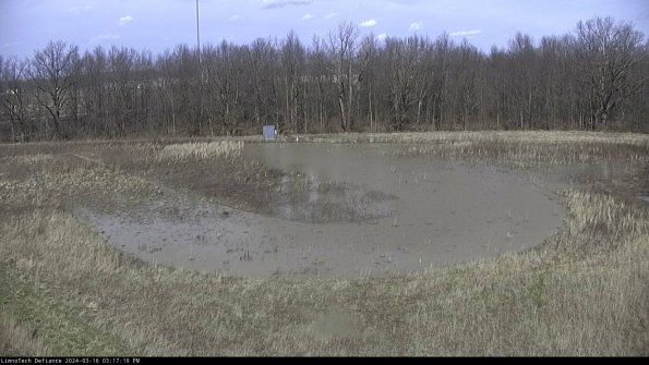 Cell 4_24-03-16_15-17-20-13