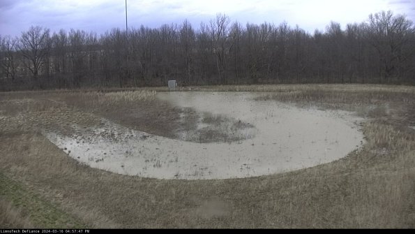 Cell 4_24-03-16_16-57-48-16