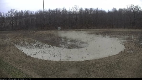 Cell 4_24-03-16_17-31-17-14