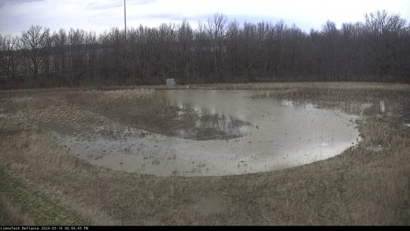 Cell 4_24-03-16_18-04-46-13