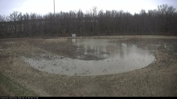 Cell 4_24-03-16_18-38-16-15