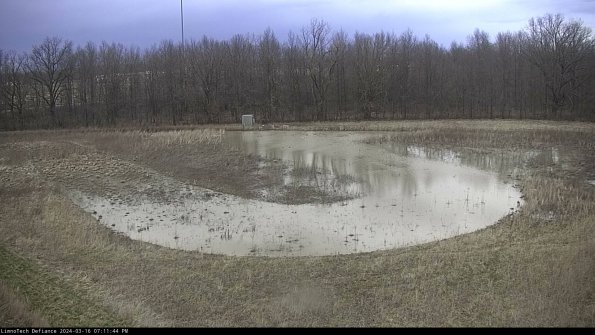 Cell 4_24-03-16_19-11-45-13