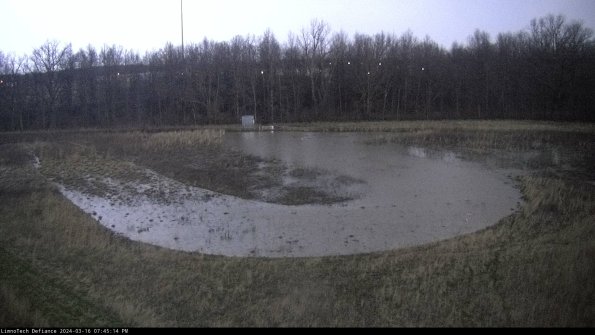 Cell 4_24-03-16_19-45-15-15