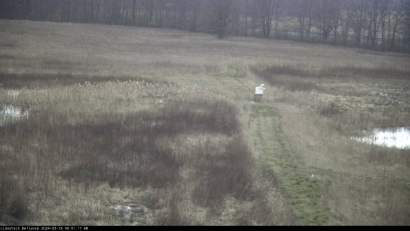 Cell 1 to 2_24-03-18_08-01-18-15