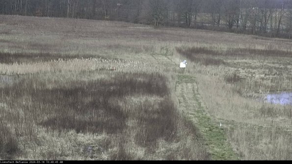 Cell 1 to 2_24-03-18_10-48-46-15