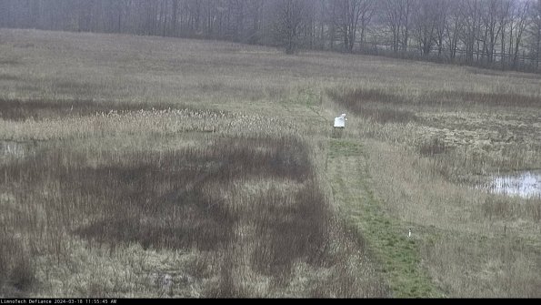 Cell 1 to 2_24-03-18_11-55-46-14