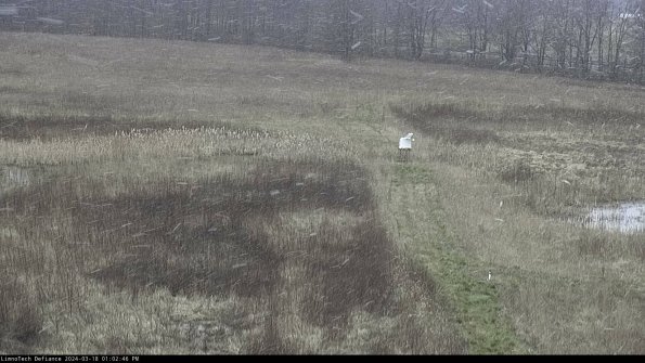 Cell 1 to 2_24-03-18_13-02-47-14