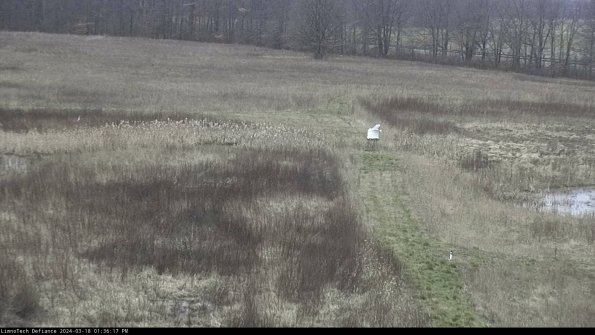 Cell 1 to 2_24-03-18_13-36-18-16