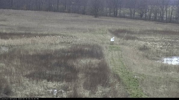 Cell 1 to 2_24-03-18_15-16-44-20