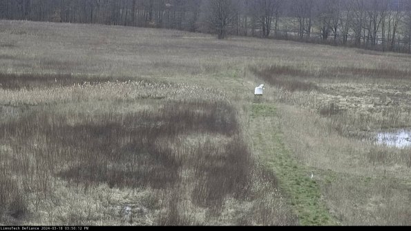 Cell 1 to 2_24-03-18_15-50-13-14