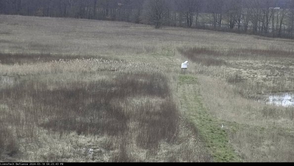 Cell 1 to 2_24-03-18_16-23-44-16