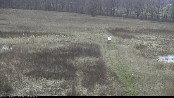 Cell 1 to 2_24-03-18_17-30-43-15