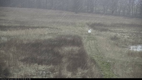 Cell 1 to 2_24-03-18_18-04-13-13