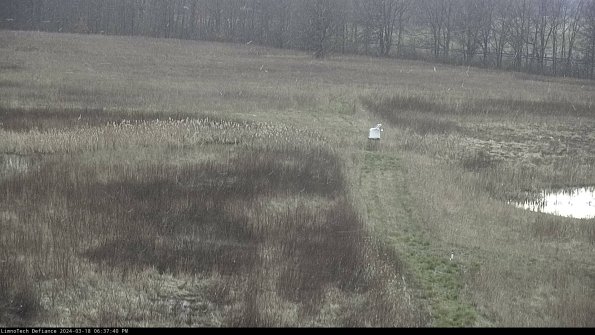 Cell 1 to 2_24-03-18_18-37-41-15