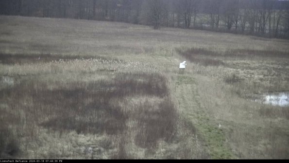 Cell 1 to 2_24-03-18_19-44-40-14