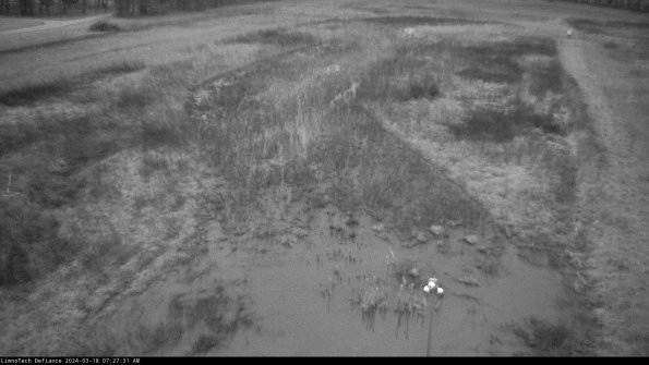 Cell 1_24-03-18_07-27-32-15