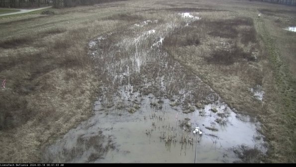 Cell 1_24-03-18_08-01-04-13