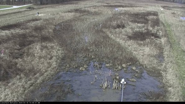 Cell 1_24-03-18_10-48-32-13