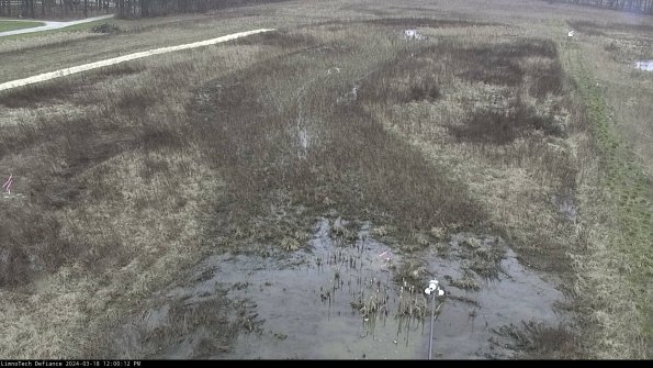 Cell 1_24-03-18_12-00-13-28