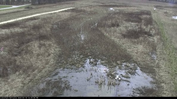 Cell 1_24-03-18_12-29-01-14