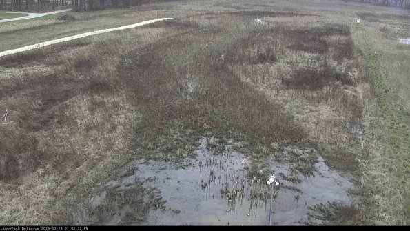 Cell 1_24-03-18_13-02-33-23