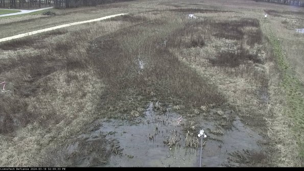 Cell 1_24-03-18_14-09-34-16