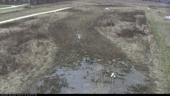 Cell 1_24-03-18_14-43-02-14