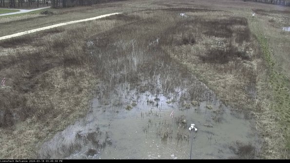 Cell 1_24-03-18_15-49-59-16