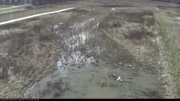 Cell 1_24-03-18_16-23-30-18