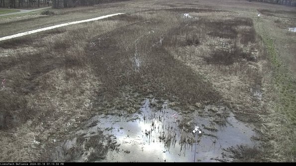 Cell 1_24-03-18_19-10-57-14