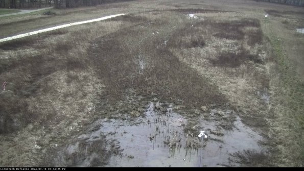 Cell 1_24-03-18_19-44-26-16