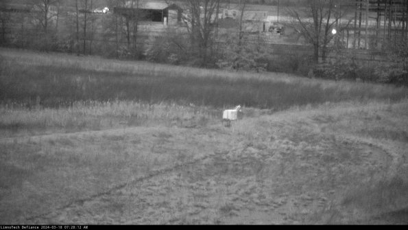 Cell 2 to 3_24-03-18_07-28-13-13