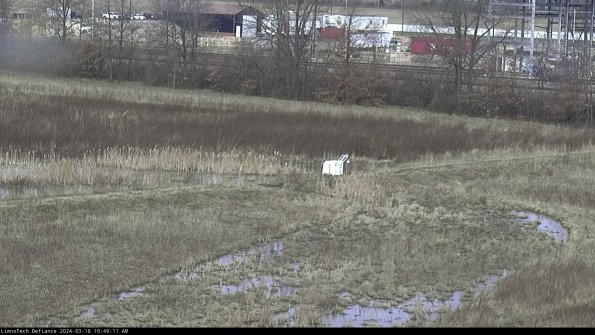 Cell 2 to 3_24-03-18_10-49-12-31