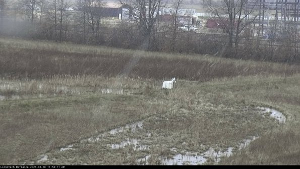 Cell 2 to 3_24-03-18_11-56-12-30