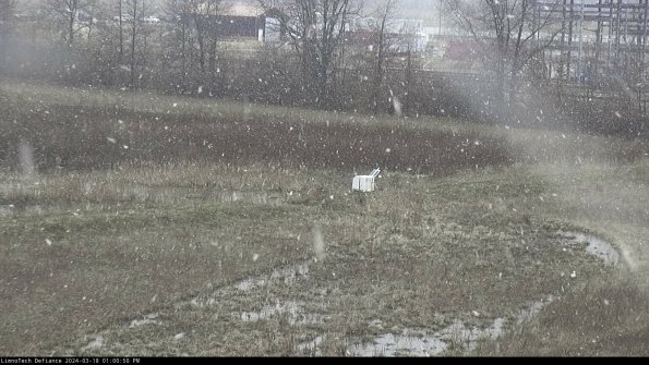 Cell 2 to 3_24-03-18_13-00-51-22