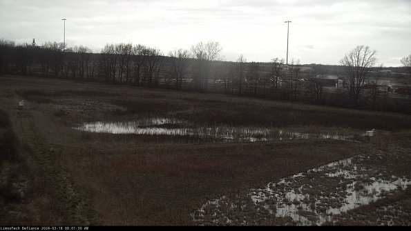 Cell 2_24-03-18_08-01-31-19