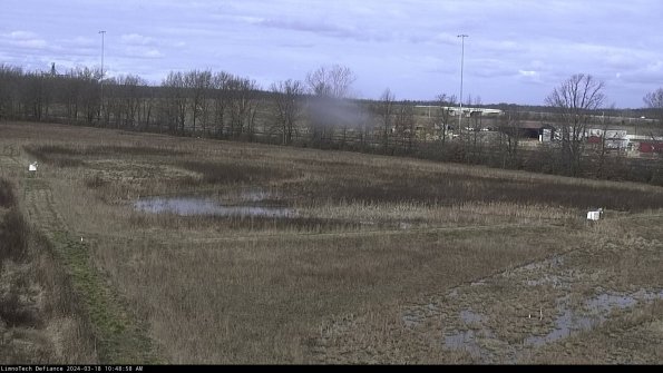 Cell 2_24-03-18_10-48-59-16