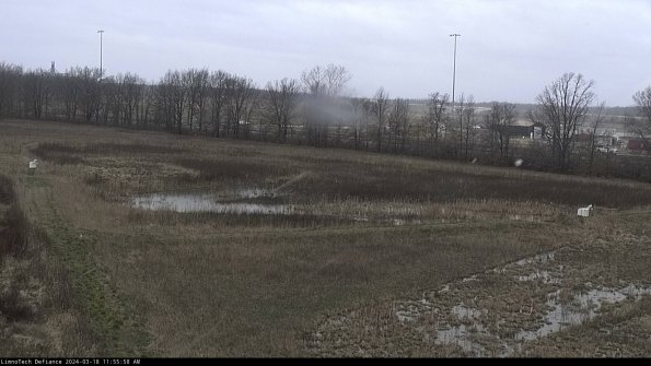 Cell 2_24-03-18_11-55-59-16